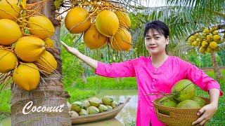 [LIVE]AMAZING HARVESTING COCONUTS & Goes To Market Sell, Gardening And Cooking||LÝ TRIỆU CA