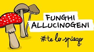 TUTTO QUELLO CHE DEVI SAPERE SUI FUNGHI ALLUCINOGENI E LA PSILOCIBINA | #TELOSPIEGO