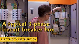 Inside a 3-phase circuit breaker box (17 - Electricity Distribution)