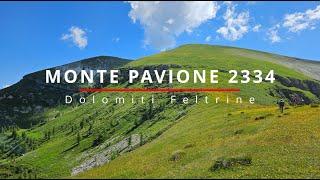 Monte Pavione (2334 s.l.m.) - Vette Feltrine - Dolomiti [4k]