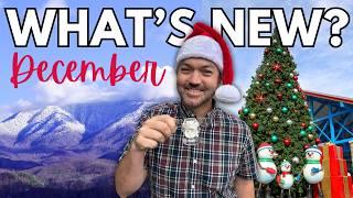 What's NEW in THE SMOKIES for December 2024 | Gatlinburg, Pigeon Forge & Sevierville Tour