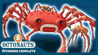 Octonauts - ️ Le crabe-araignée géant  | Saison 1 | Épisodes complets