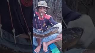 CARA MEMANCING TOMAN MONSTERR