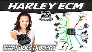 How the Electronic Control Module (ECM) Adapts