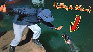 صادفنا !؟ سمكة متوحشة عند زيارة حفر الموت في الصحراء المغربية ، (أسنان الشيطان )