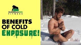 TOP 3 PROVEN BENEFITS of COLD EXPOSURE | Cold Showers, Ice Baths, Polar Plunging