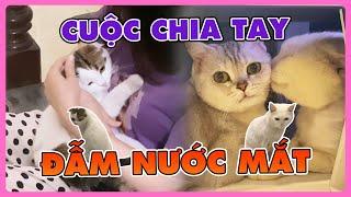 Cuộc chia tay đẫm nước mắt | maly.gaugau