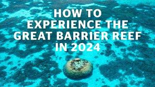 How to experience The Great Barrier Reef in 2024