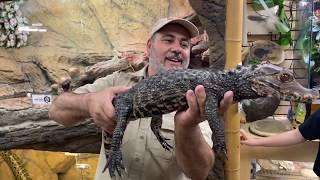 REPTILE ROOM TOUR at The Reptile Zoo!