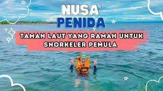 SNORKELING DI NUSA PENIDA | JARANG WISATAWAN LOKAL