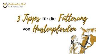 3 Tipps für die Fütterung von Hustenpferden