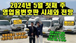 2024년 5월 첫째 주 영업용번호판 시세와 전망 "개별화물은 하락? 1톤은 3천만원대?" (화물차, 트럭)