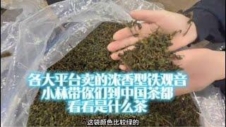 各大平台卖的浓香型铁观音，小林带你们到中国茶都看看是什么茶