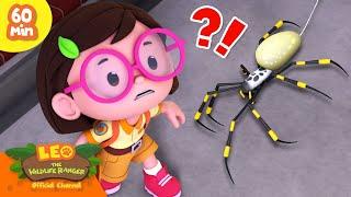 ITSY BITSY SPIDER ON THE WALL?! ️️ | 60 MIN | Leo the Wildlife Ranger | Kids Cartoons