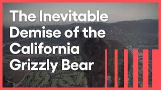 California's Lost Grizzly | Lost LA | KCET