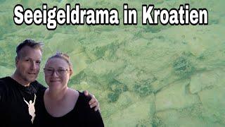 Seeigeldrama in Kroatien