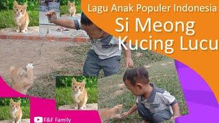 Si Meong Kucing Lucu   Lagu Anak Populer Indonesia