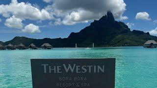 The Westin Bora Bora -  Review #travel #borabora #vacation