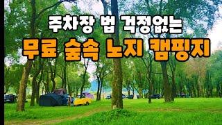 주차장법 눈치보지말고 여기로오세요 | 조용한숲속노지  | 정선무료캠핑지