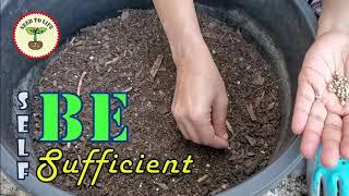 Gardening Tips and Tricks | Know Your Food | Organic Gardening