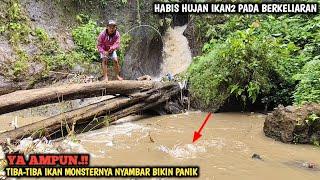 PANIK.!! LAGI ASIK MANCING LELE LOKAL BABON SEHABIS HUJAN TIBA-TIBA IKAN MONSTERNYA NGAMUK BRO