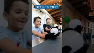 Dry ice bubbles are SO fun! #stem #shorts