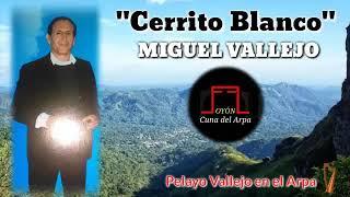 Cerrito Blanco - Miguel Vallejo & Pelayo Vallejo en el Arpa