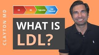 What is LDL? Your Cholesterol Test Results Explained