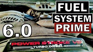 HOW TO PRIME 6.0 POWERSTROKE FUEL SYSTEM & BLEED OUT ANY AIR | EASY