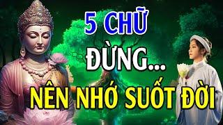 Lời Phật Dạy về 5 chữ ĐỪNG để Cuộc Sống Luôn AN YÊN, HẠNH PHÚC - Lời Phật Dạy