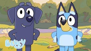 Bluey und Bingos Freunde  | Beste Freundschaftsmomente | Bluey - Deutsch Offizieller Kanal