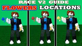 All FLOWERS LOCATIONS - RACE V2 Evolution | Blox Fruits [Beginner's Guide]