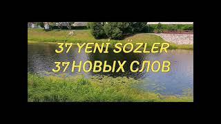 YENI SÖZLER. YENI CÜMLELER. НОВЫЕ СЛОВА. НОВЫЕ ПРЕДЛОЖЕНИЯ