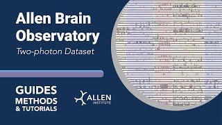 Allen Brain Observatory: Two-Photon Dataset | Tutorial