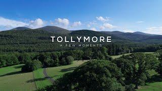 Tollymore Forest Park - A few moments (Cinematic Drone Film)