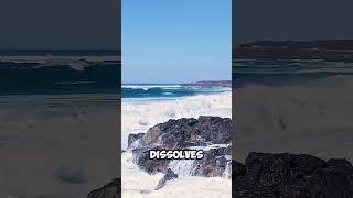 Why Is the Ocean So Salty?  | Fun Ocean Facts!