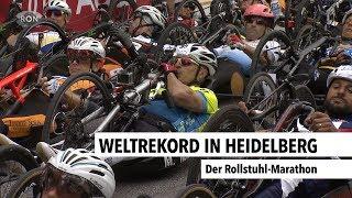 Weltrekord in Heidelberg | RON TV |