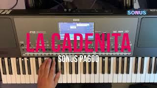 LA CADENITA SONUS KORG PA #SONUS #RITMOSKORGPA