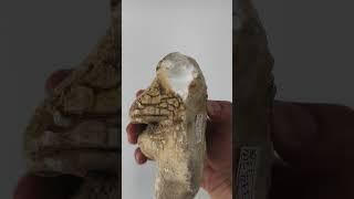 Natural porcelain white agate raw material display#gemstone #crystals #diy #natural