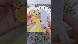 孩子不爱吃白米饭 就试试这个海苔碎拌饭 吃起来香香的 摇摇乐一摇 简单方便 营养好吃 不一会全干完了#海苔拌饭 #营养早餐