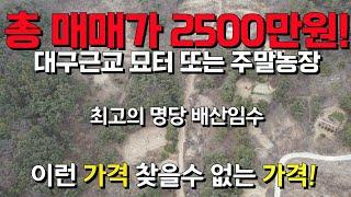 임야 아래 멋진조망 땅매매 총매매가 2500만원 최고의 명당자리 대구근교 묘터나 투자용 적극추천 매물  세상사는 부동산