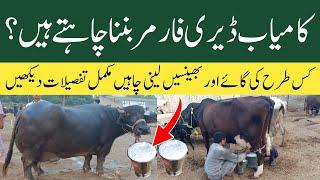 Kamyab dairy farming ka sub say best tarika