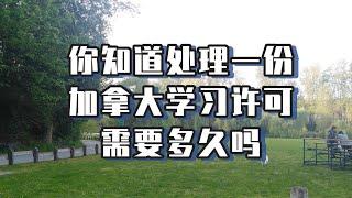 你知道处理一份加拿大学习许可需要多久吗？