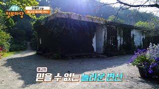 여기 가면 인생 사진 득템? 폐교의 화려한 변신! MBN 211021 방송