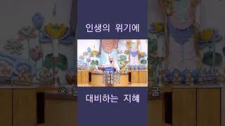 위험에 철저히 대비하라 #우학스님 #유튜브불교대학