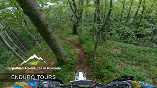 Enduro paradise in Romania︱Carpathian Adventures