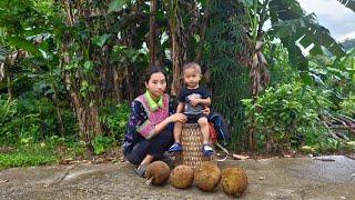 Single mother, 17 year old fruit picker and seller, Ly Tieu Anh