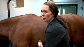 Meet Dr. Elaine Claffey of Cornell Ruffian Equine Specialists