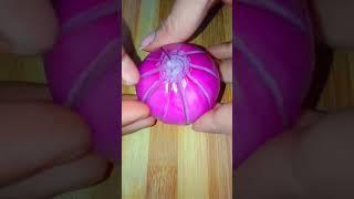 onion salad decoration idea #shorts #saladdecoration