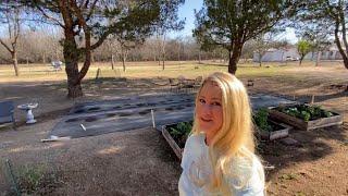 We Had An Expert Visit The Farm-What We Learned About Trees & Garden Health-Small Pecan Farm Tour